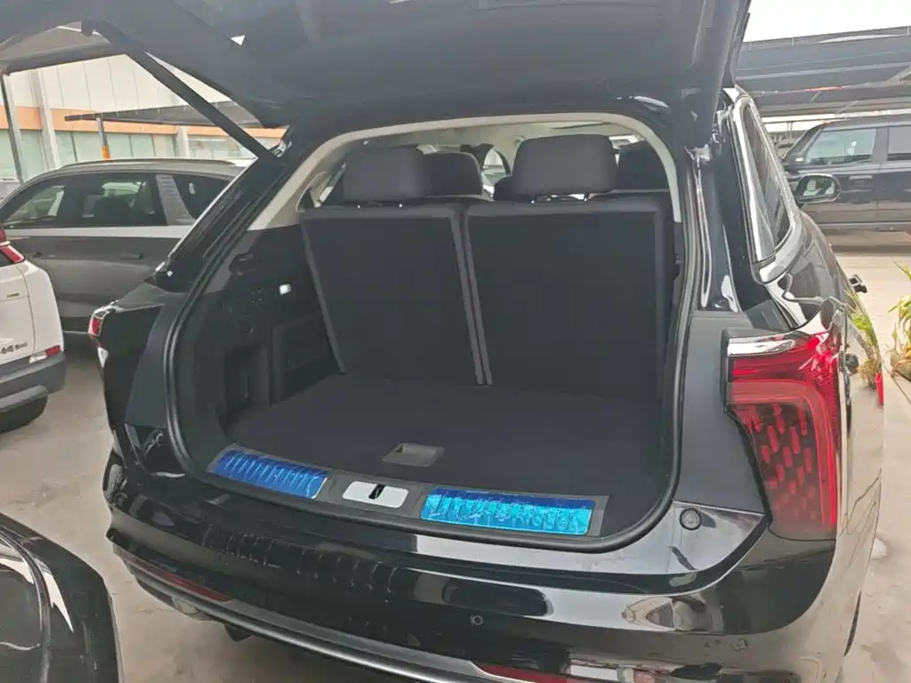 Hongqi E-HS9 2023 — фото 19