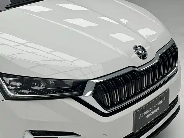 Skoda Kamiq 2022