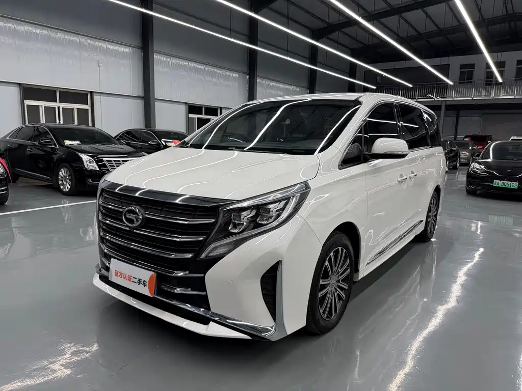 GAC Motor Trumpchi M8 2021 — фото 1