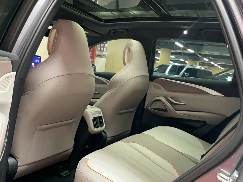 BYD Song Pro New Energy 2024 — фото 14