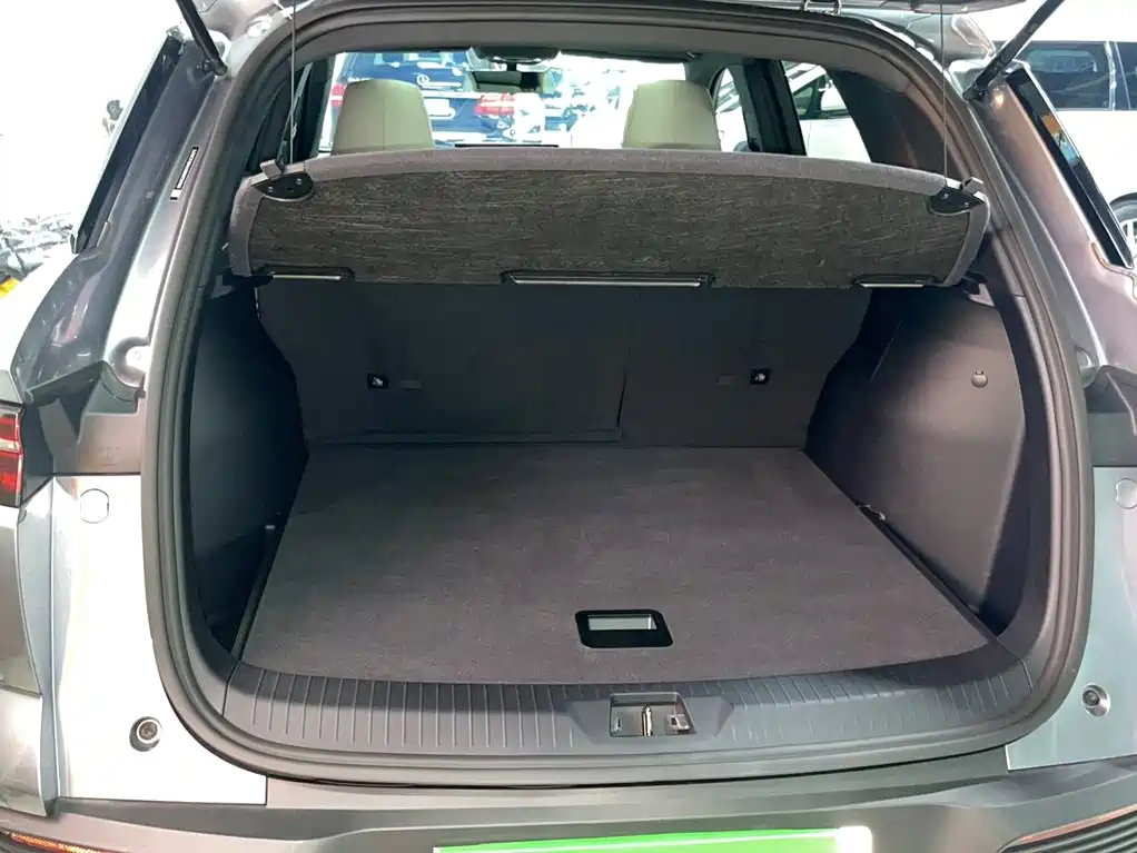 BYD Song Pro New Energy 2024 — фото 17