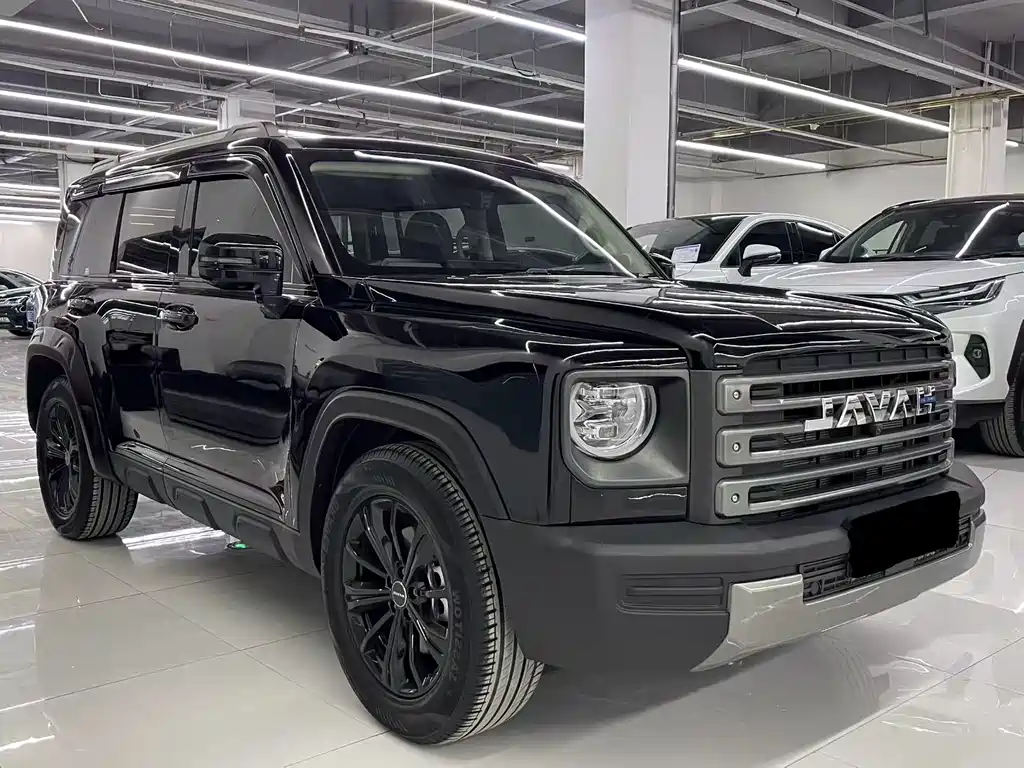 Haval Menglong New Energy 2024