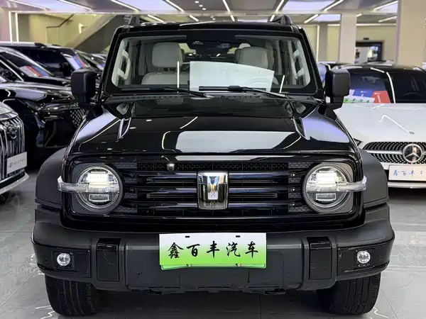 Tank 300 New Energy 2025