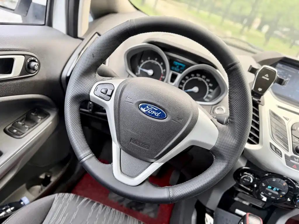 Ford Ecosport 2015 — фото 11