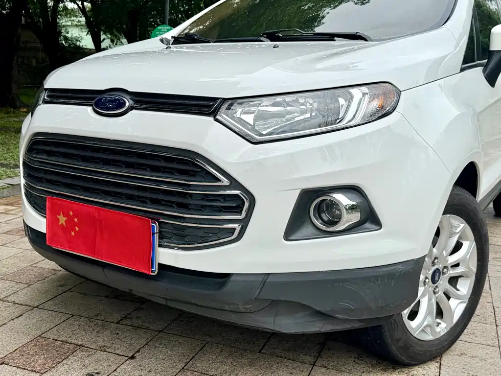 Ford Ecosport 2015 — фото 19