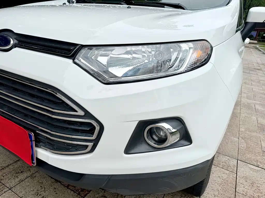 Ford Ecosport 2015 — фото 21