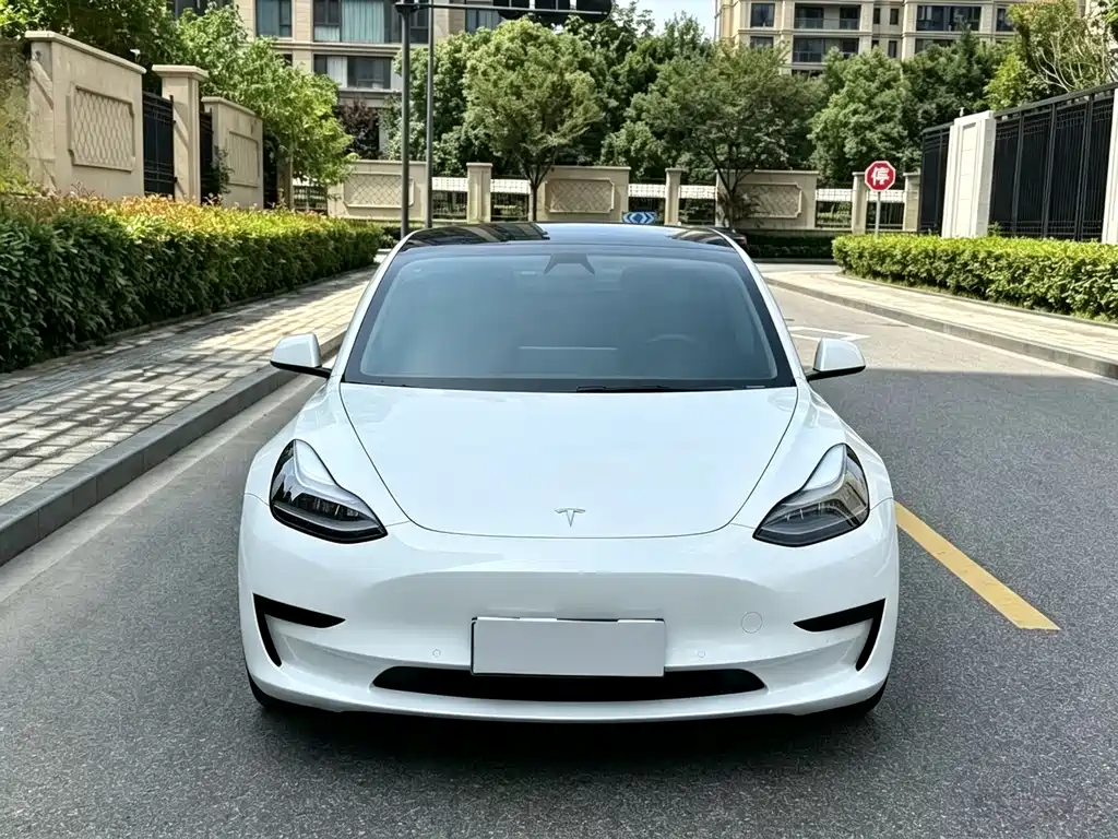 Tesla Model 3 2020 — фото 2
