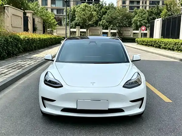 Tesla Model 3 2020