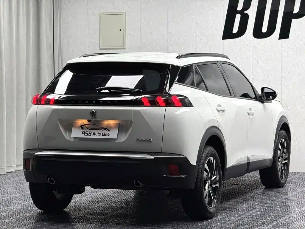 Peugeot 2008 2023 — фото 11