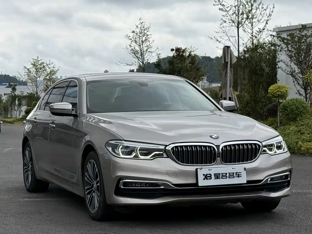 BMW 5 Series 2019