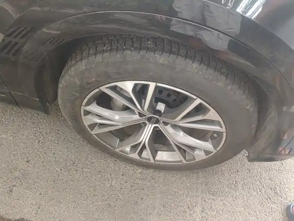 Audi Q8 2021