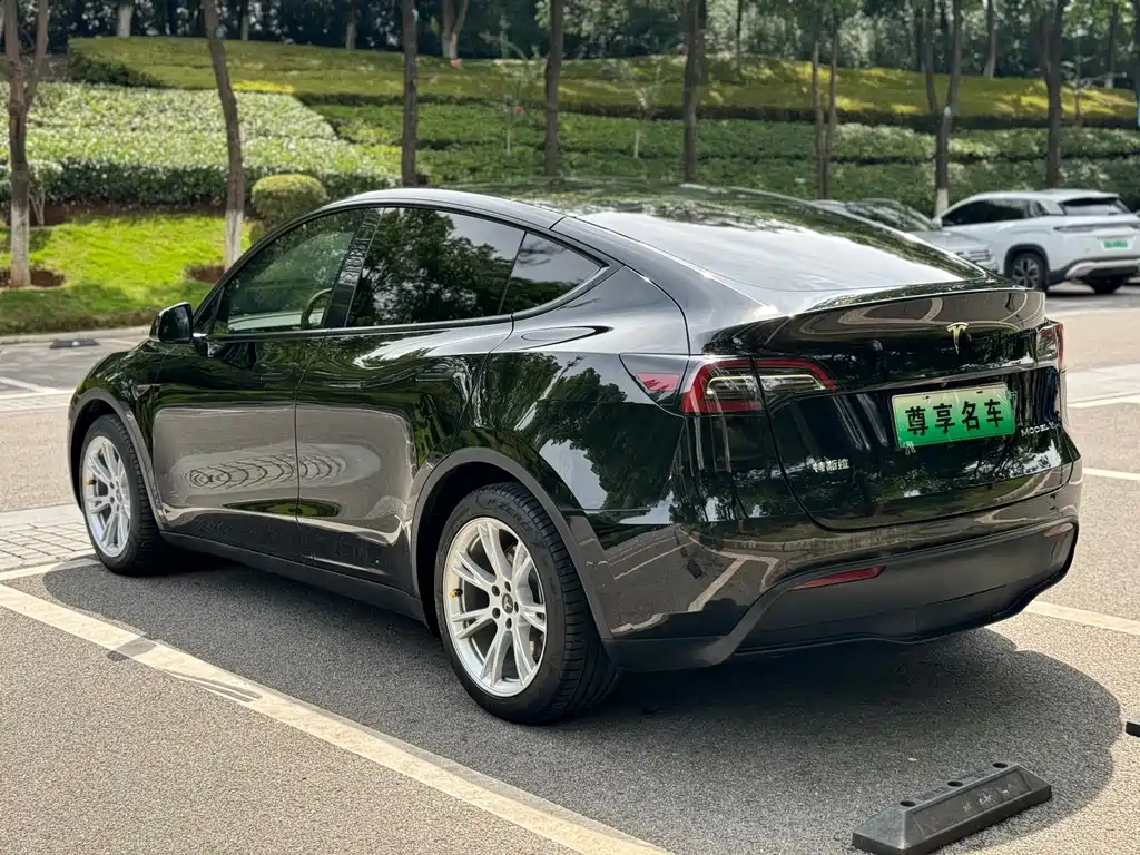 Tesla Model Y 2023 — фото 5