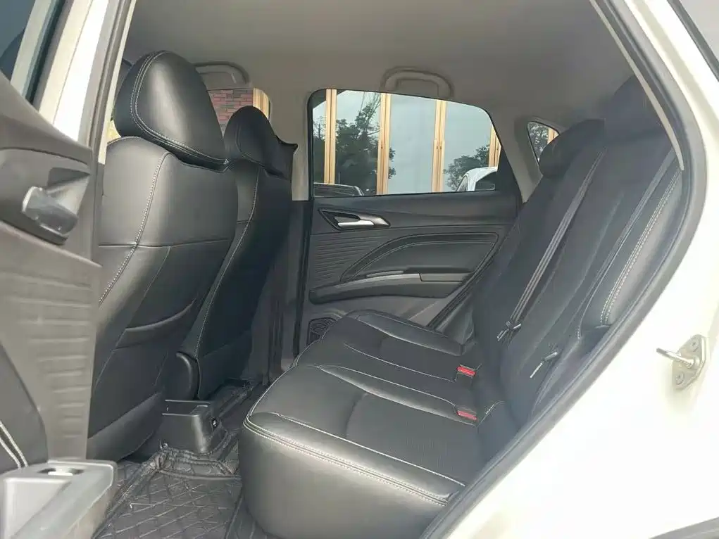 Neta V 2021