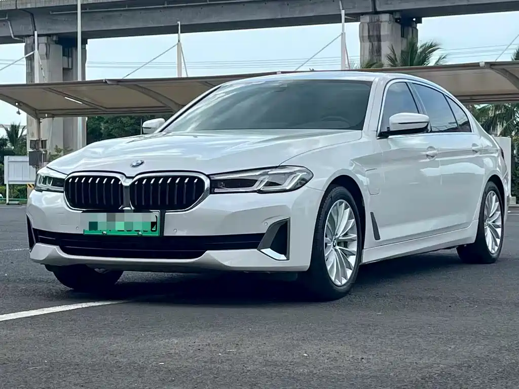 BMW 5 Series New Energy 2021