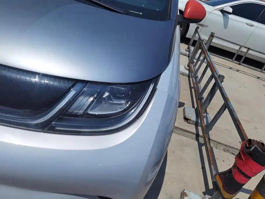 BYD Dolphin 2021