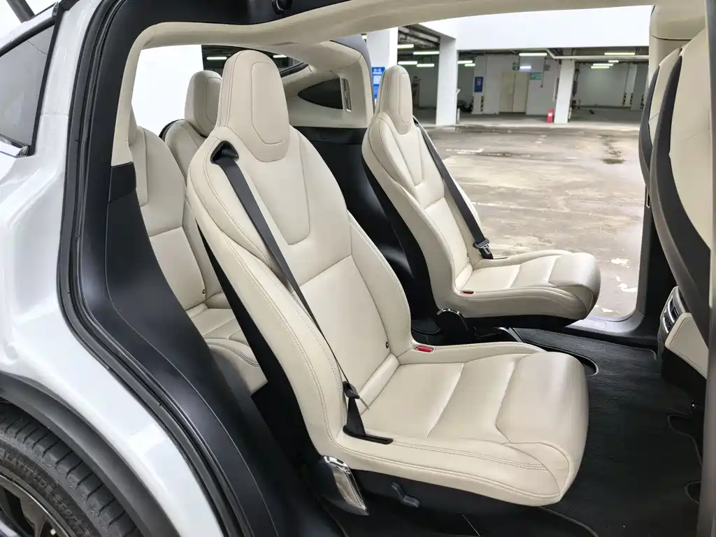 Tesla Model X 2018 — фото 10