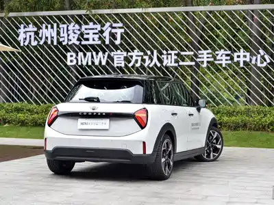 MINI MINI 2024