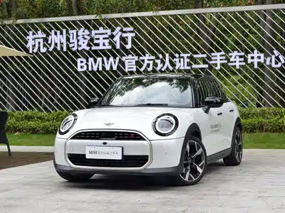 MINI MINI 2024