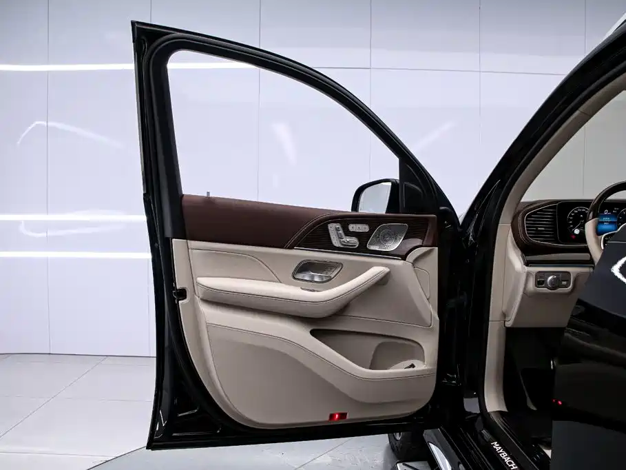 Mercedes-Benz Maybach GLS 2023 — фото 13