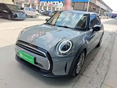 MINI MINI 2021