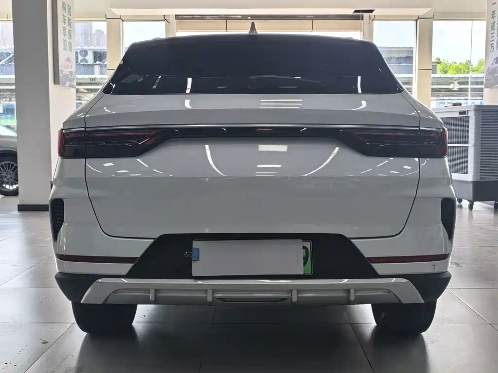 BYD Song PLUS New Energy 2022 — фото 16
