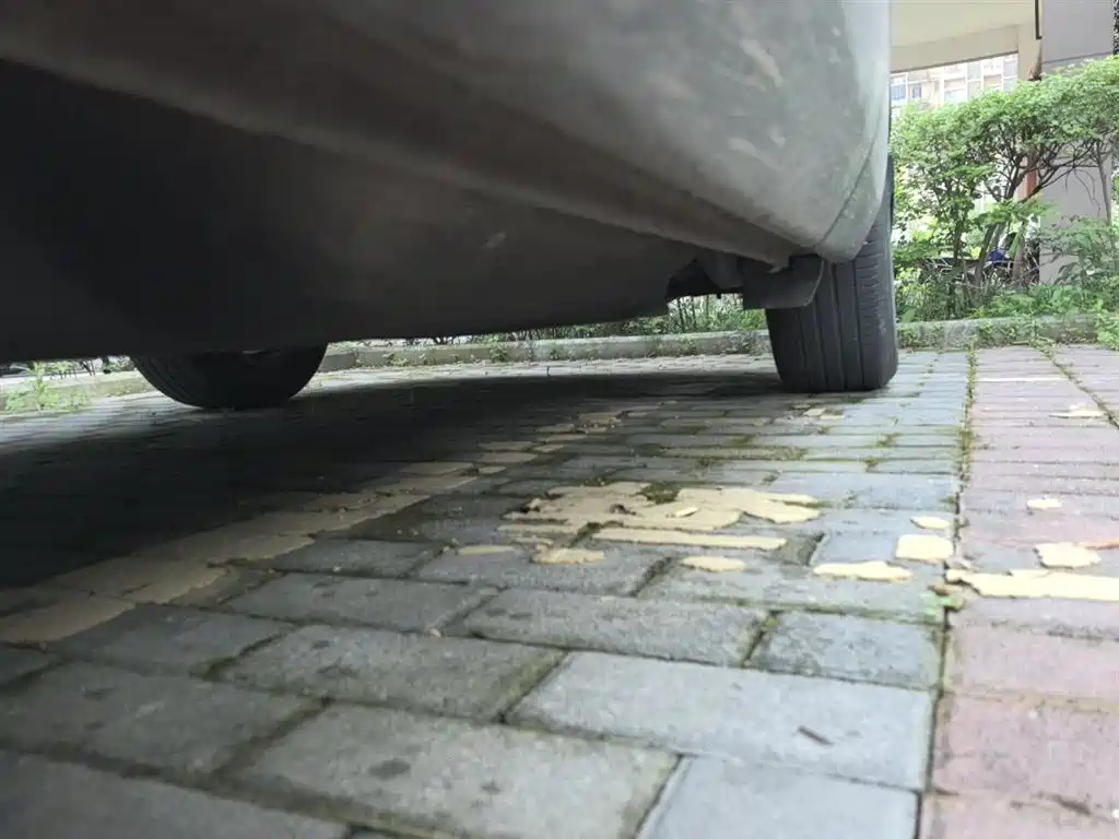 Honda Breeze 2020 — фото 19