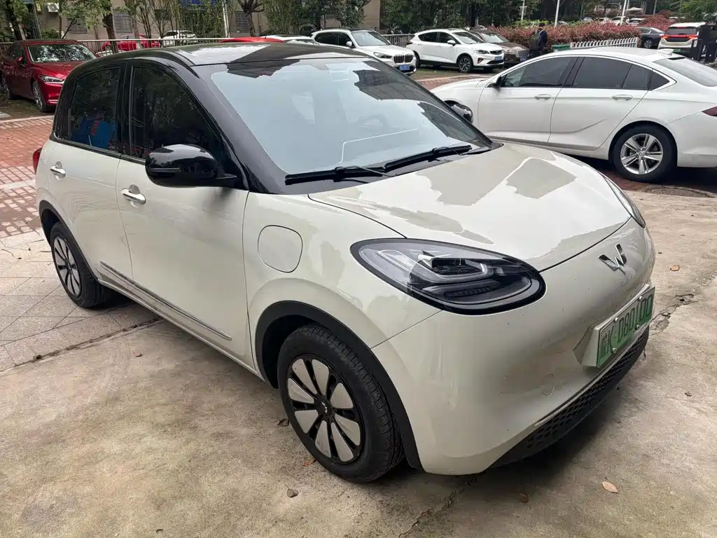 Wuling Bingo 2025