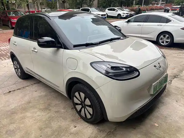 Wuling Bingo 2025