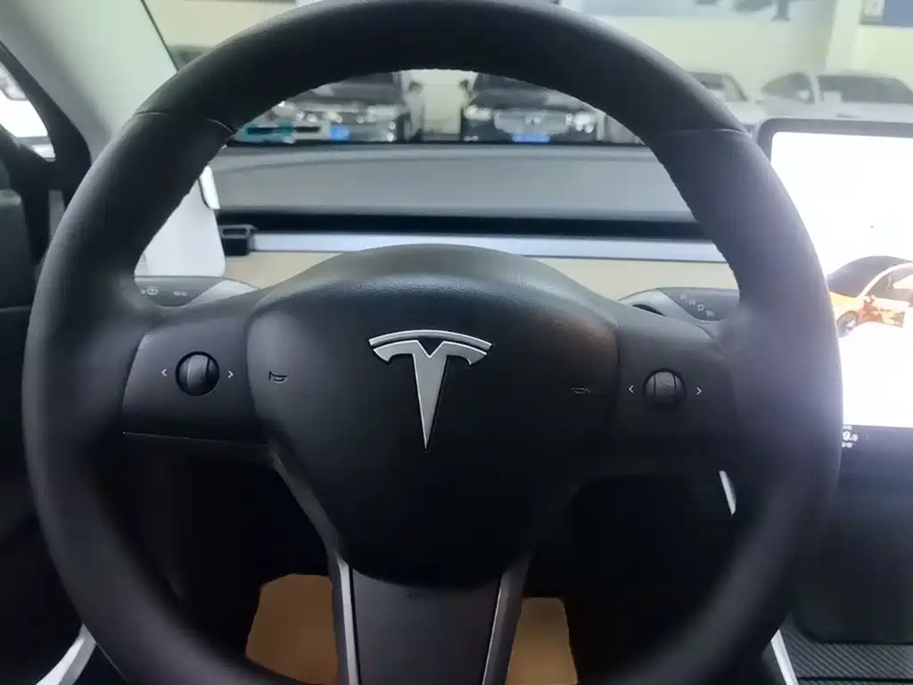 Tesla Model 3 2020 — фото 11
