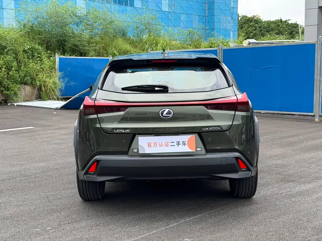 Lexus UX New Energy 2022 — фото 11