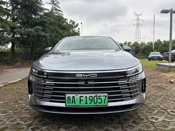 BYD Destroyer 05 2024
