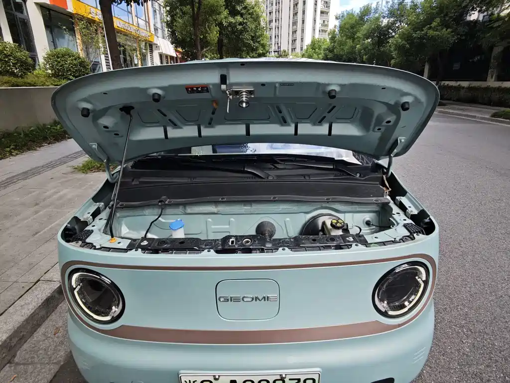 Geely Galaxy Panda 2023 — фото 16