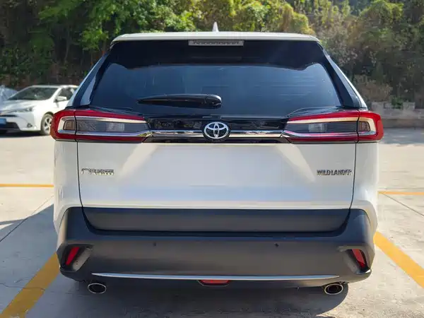 Toyota Wildlander 2024