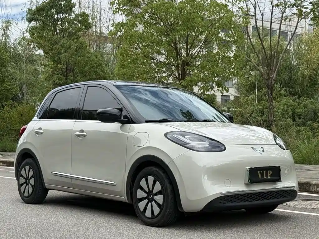 Wuling Bingo 2024