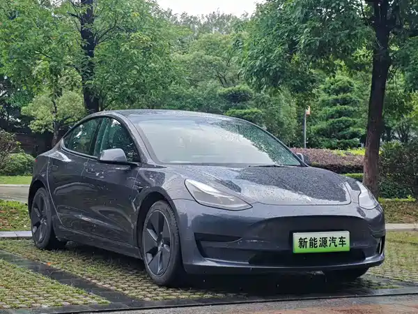 Tesla Model 3 2021