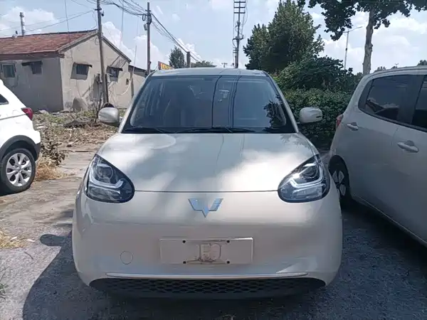 Wuling Bingo 2024