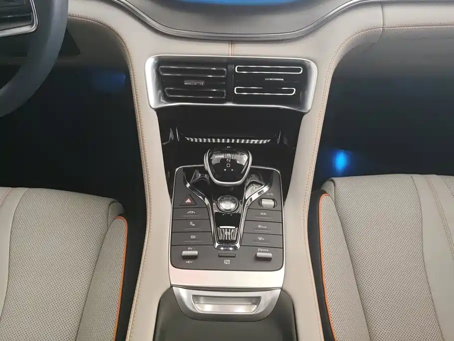 BYD Song PLUS New Energy 2022 — фото 16