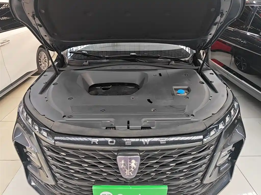 Roewe RX5 MAX 2022 — фото 20