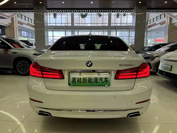 BMW 5 Series New Energy 2020