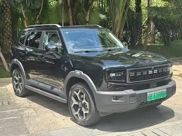 Jetour Shanhai T1 2024