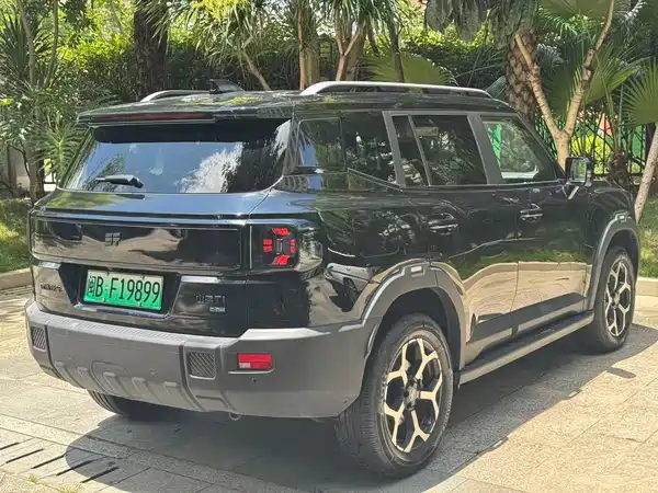 Jetour Shanhai T1 2024