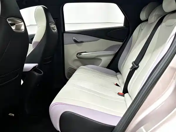 BYD Dolphin 2022