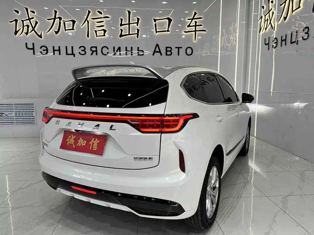 Haval Red Rabbit 2024 — фото 4