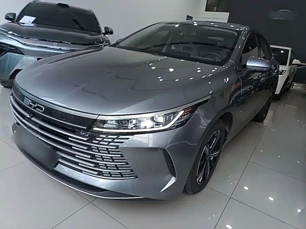 BYD Destroyer 05 2024 — фото 1