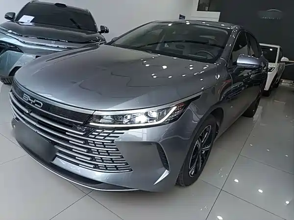 BYD Destroyer 05 2024