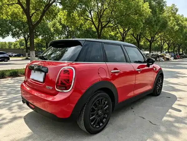 MINI MINI 2020