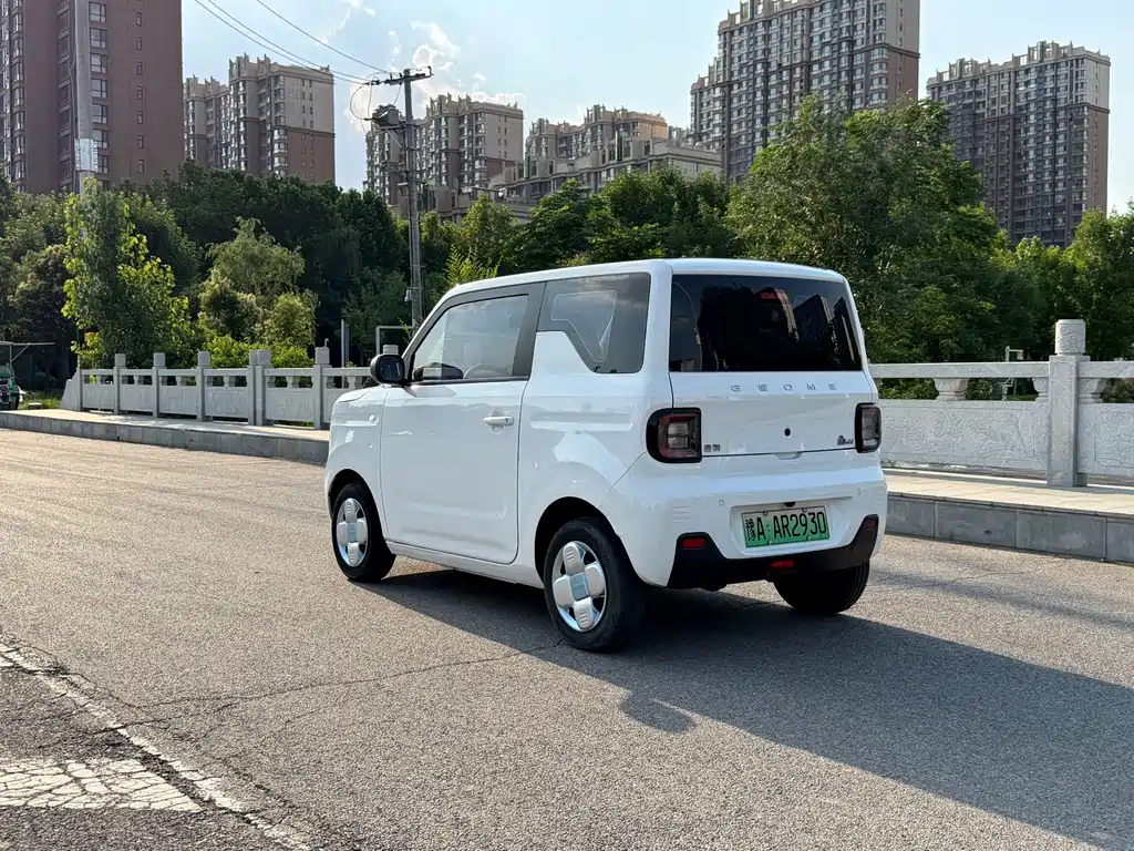 Galaxy Panda 2024