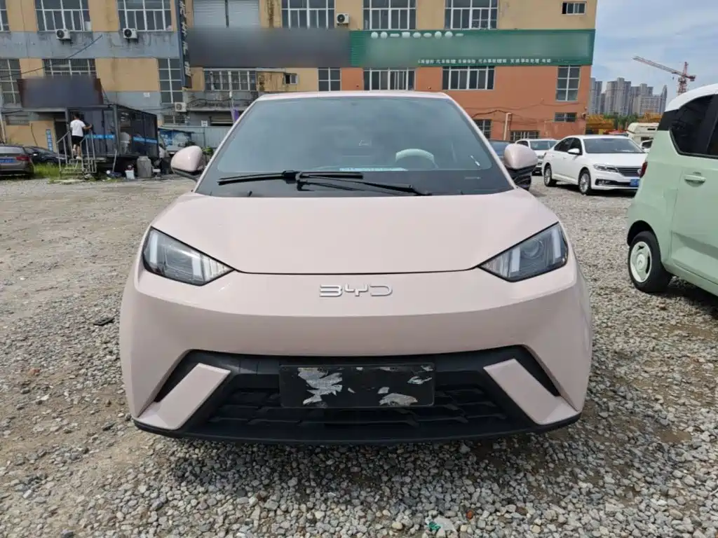 BYD Seagull 2024