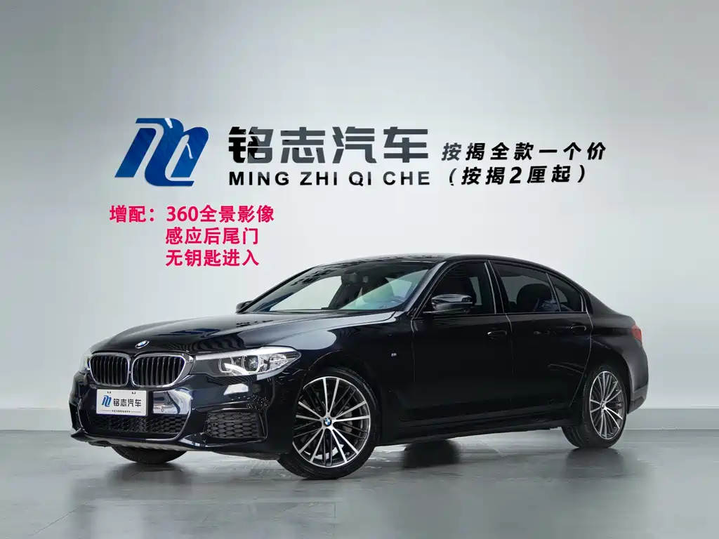 BMW 5 Series 2019