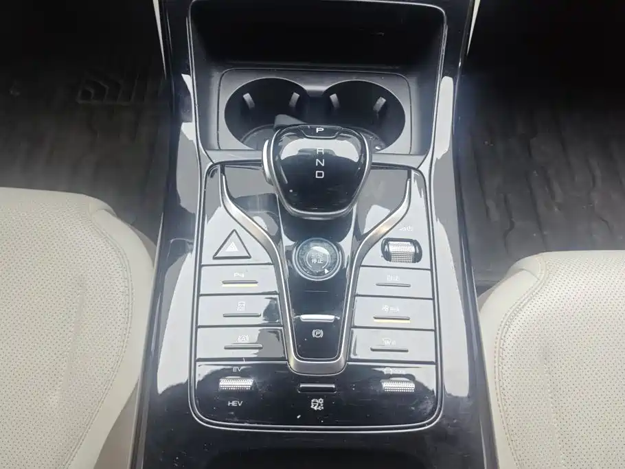 BYD Qin PLUS 2024 — фото 15